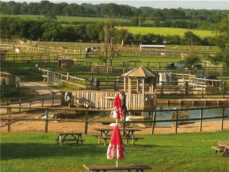 blackberry farm attractions east sussex camping glamping