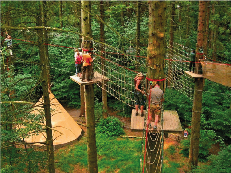 go ape attractions east sussex camping glamping