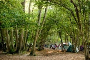 Wowo campsite in the press east sussex camping and glamping
