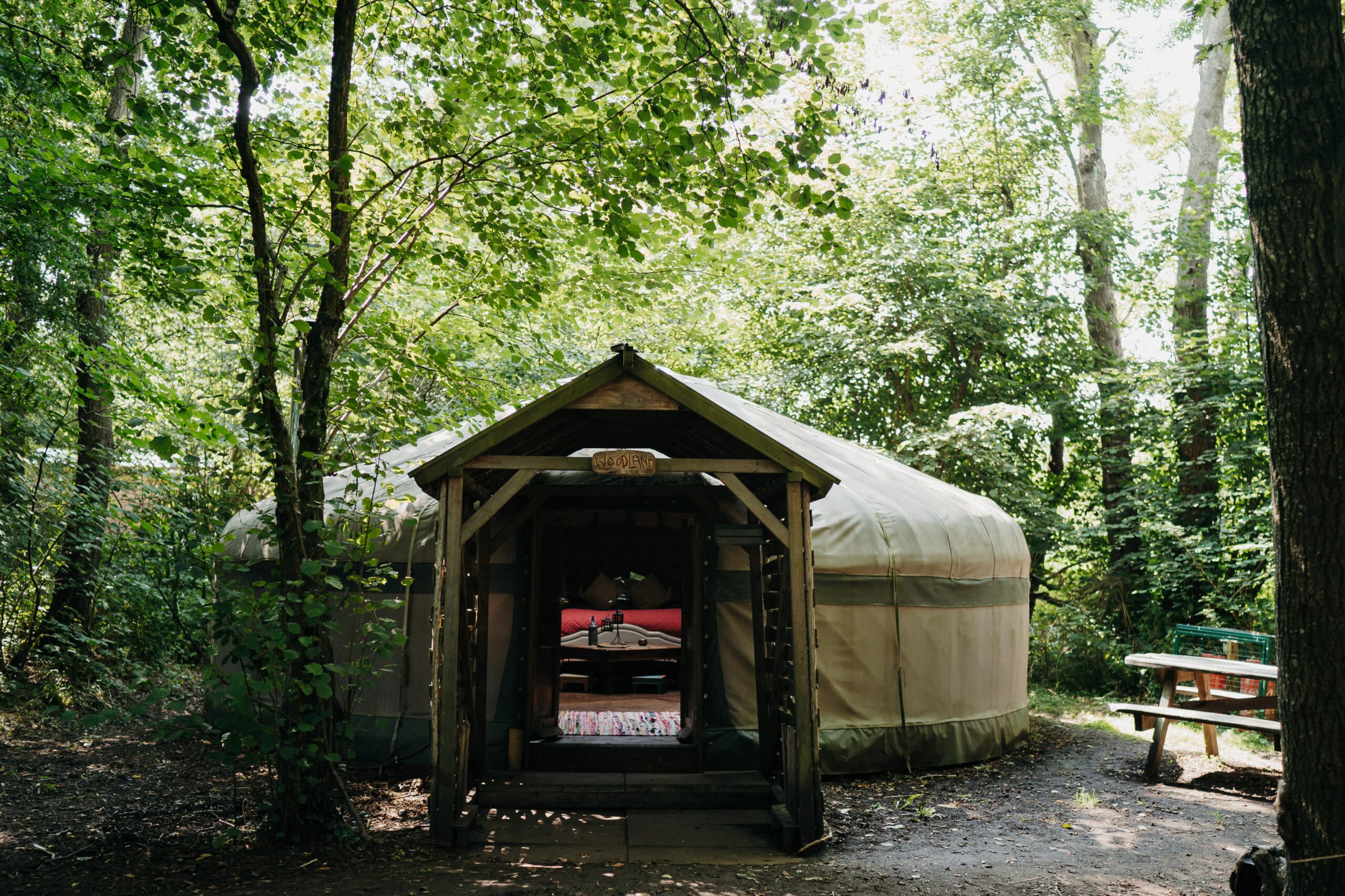 woodland glamping yurts sussex, Campfires, camping workshops and Group camping