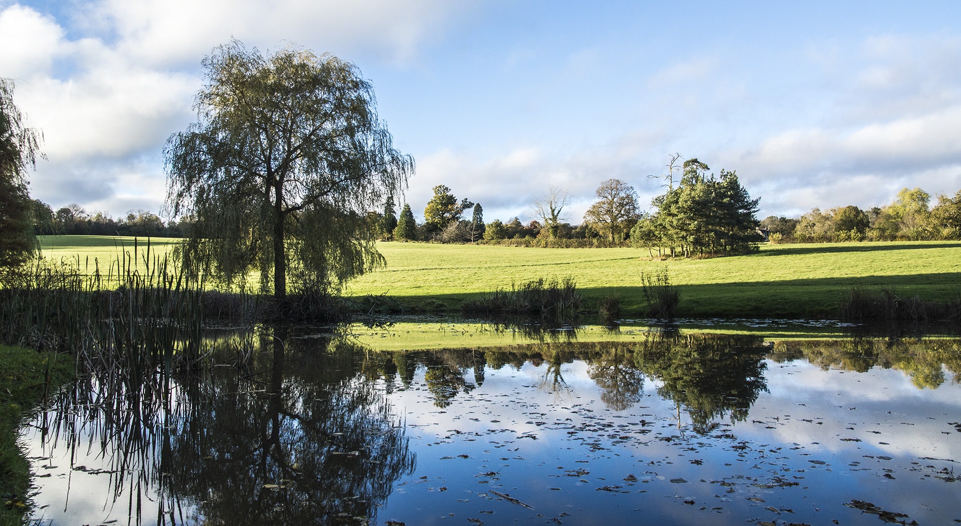 where to eat and drink campsite glamping yurts