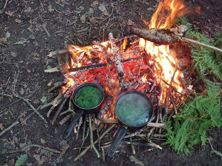 wild foods really wild bushcraft workshop